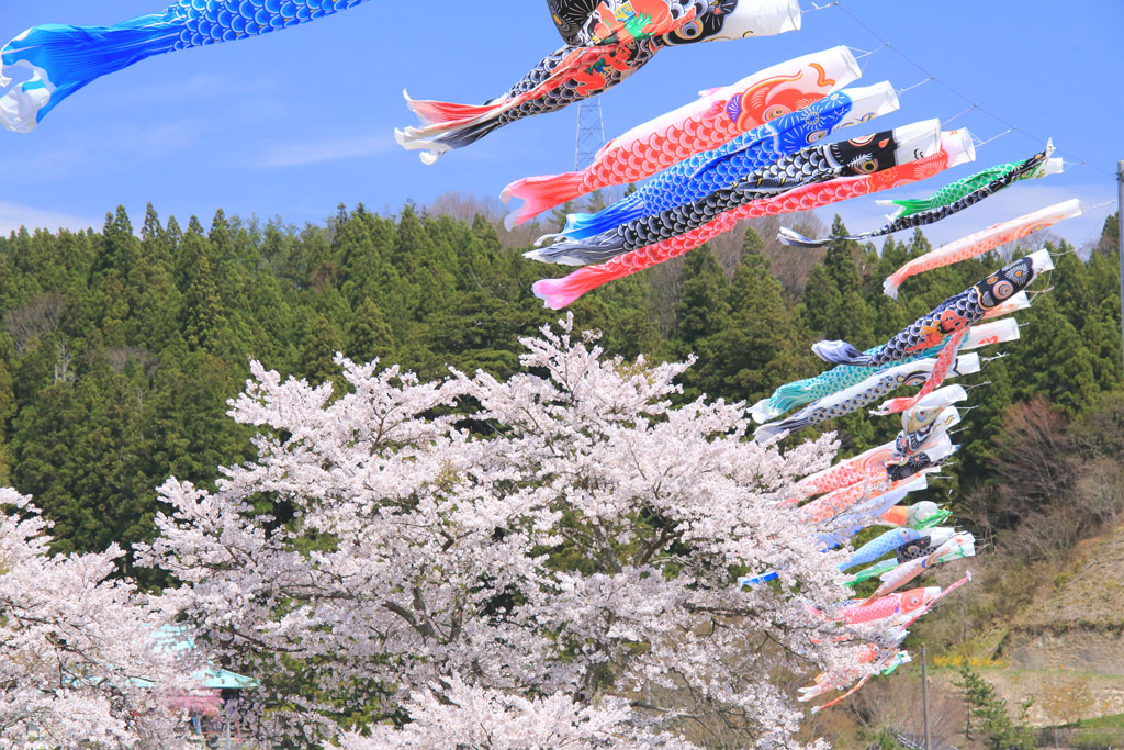 IMG_4282_natuikawa_br