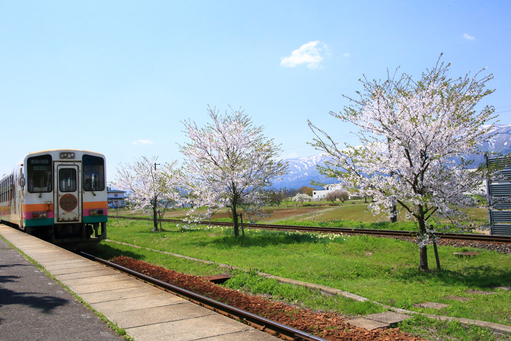 IMG_4693_nagaisen_br