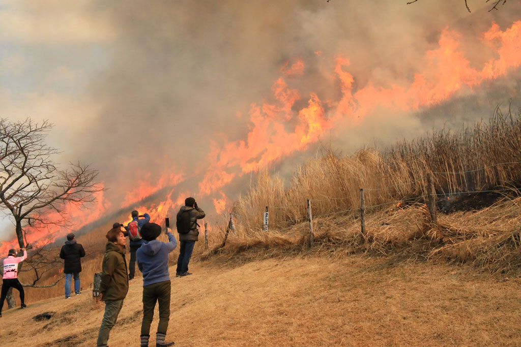 伊東市「大室山」壮大な大室山の山焼き