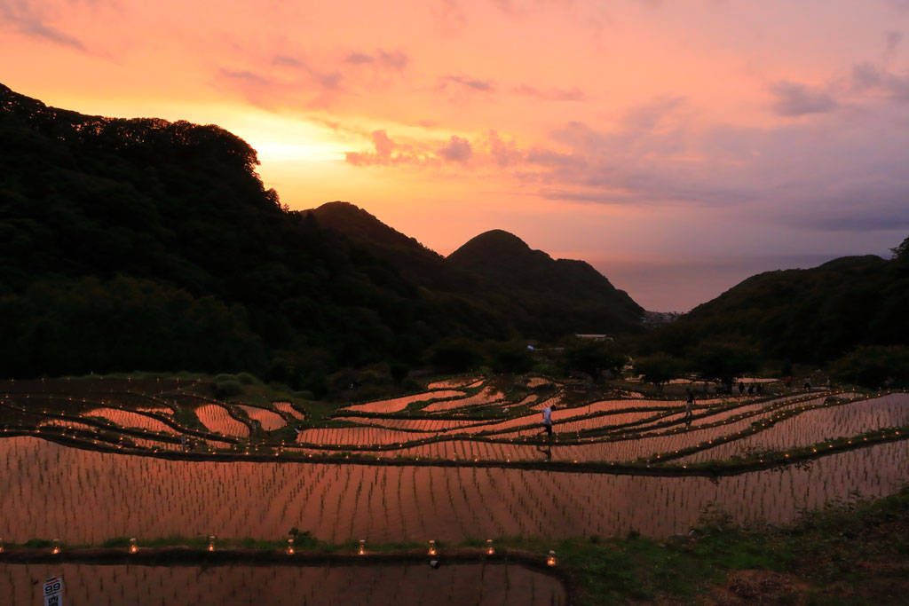 伊豆松崎町「石部の棚田」夕焼けが映える棚田のライトアップ