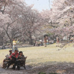 「春の新宿御苑」桜吹雪に包まれる