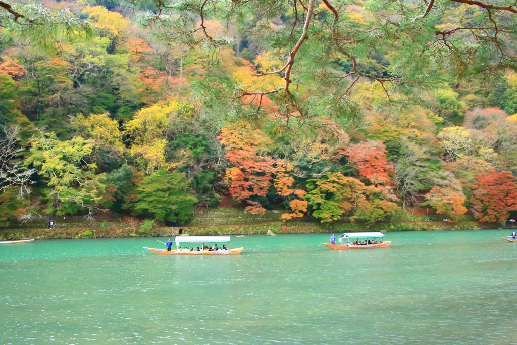 京都「嵐山」紅葉を行く遊覧船