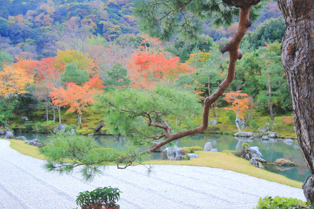 京都「天龍寺」書院から曹源池を望む