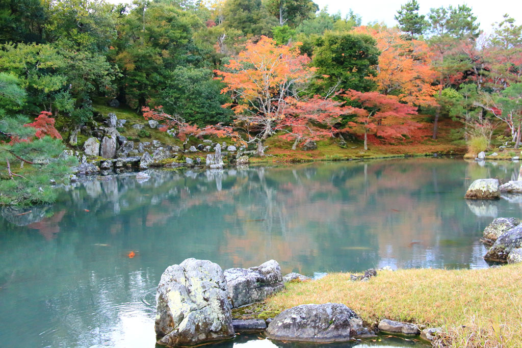 京都「天龍寺」特別史跡の曹源池