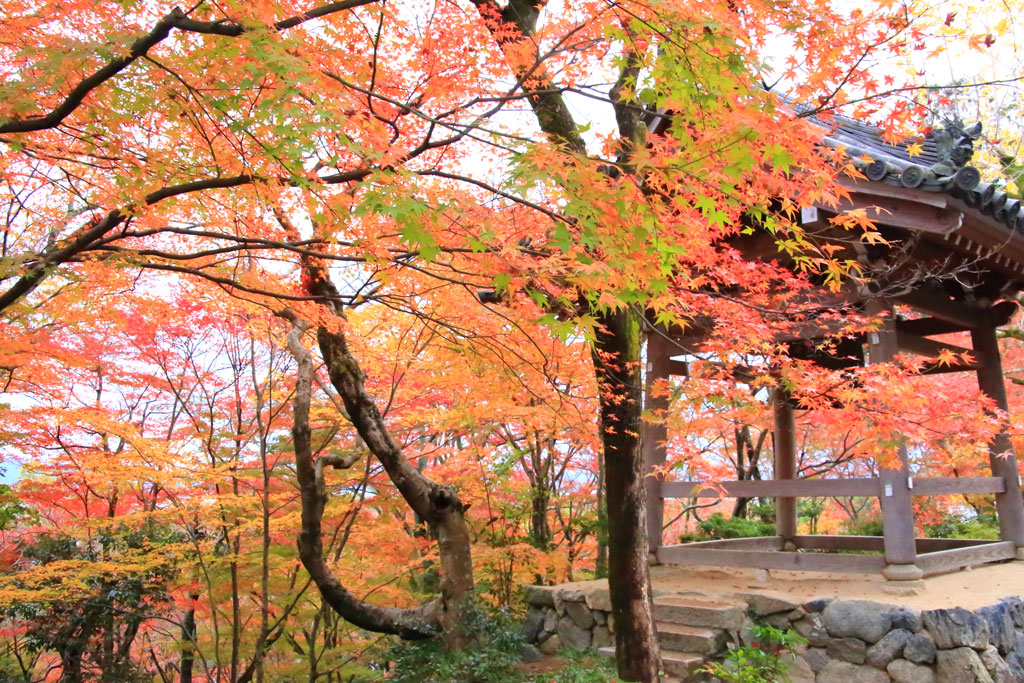 京都「常寂光寺」鐘楼と紅葉
