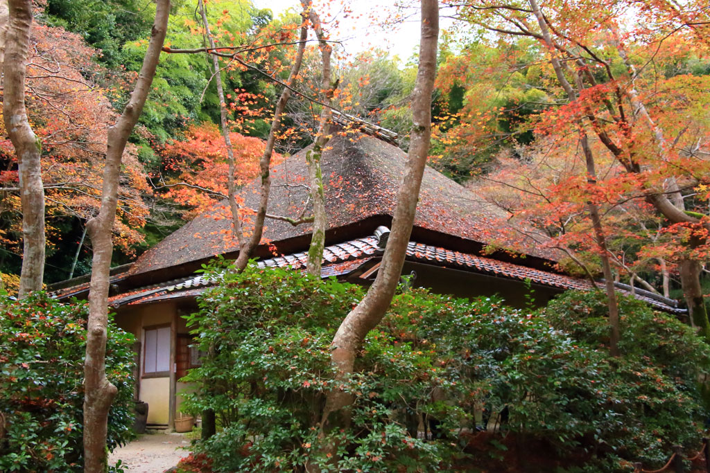 京都「祇王寺」紅葉林の中の草庵