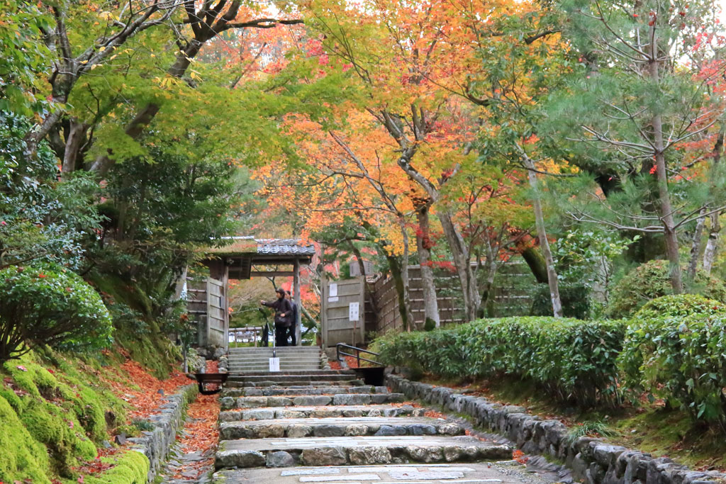 京都「化野念仏寺」石段の紅葉