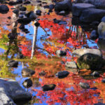 「昭和記念公園の春秋」水面に映える紅葉