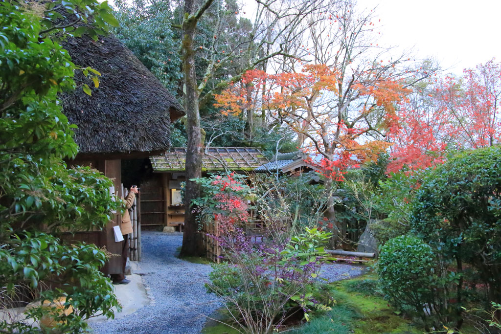 京都「落柿舎」本庵前の紅葉