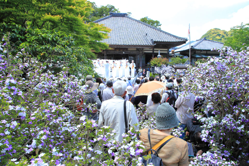 下田市「下田黒船祭」ジャスミンの了仙寺の米軍軍楽隊