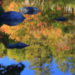 「昭和記念公園の春秋」池に映える紅葉