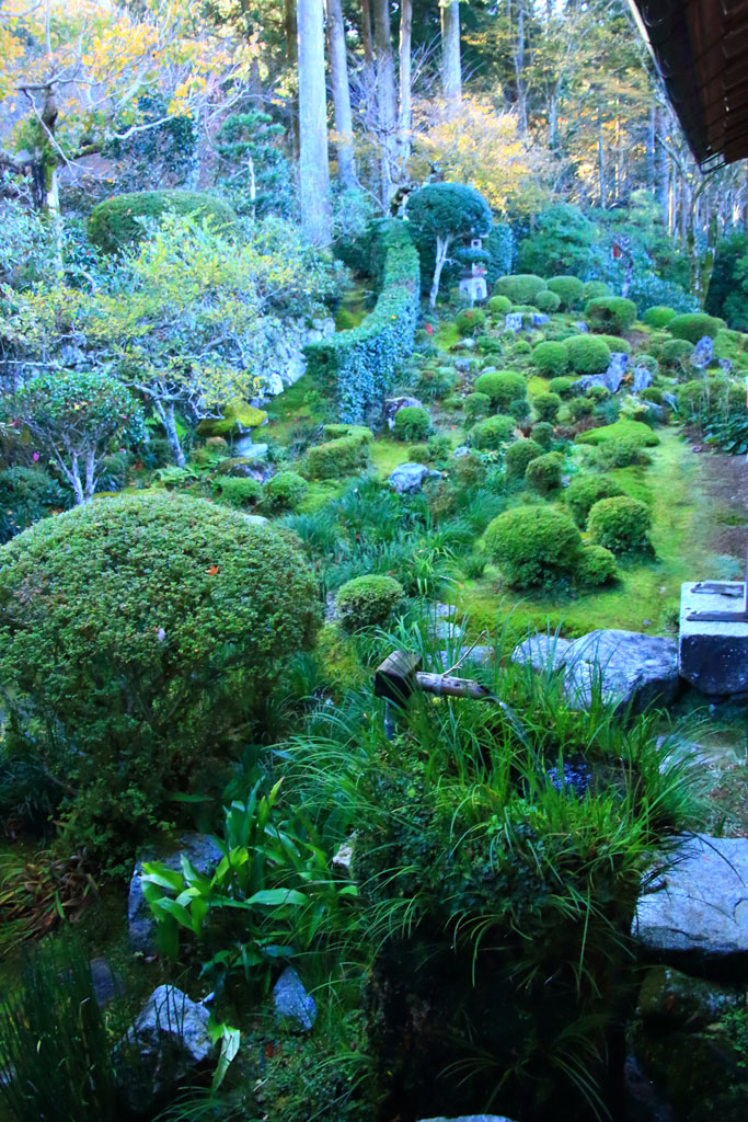 京都「大原三千院」聚碧園（しゅうへきえん）の庭園