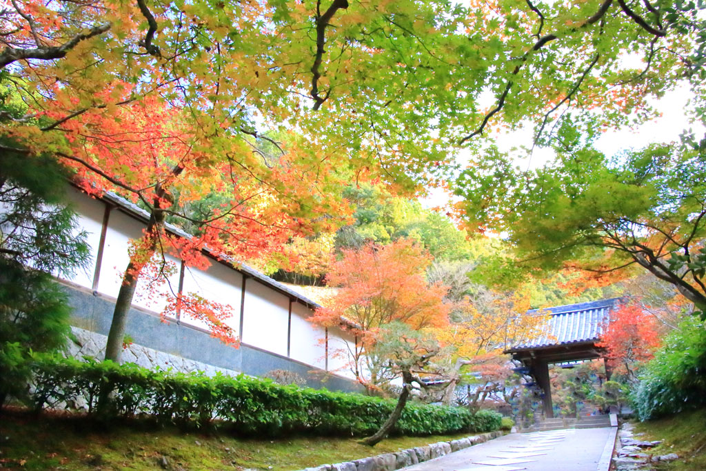 京都「南禅寺」紅葉風景