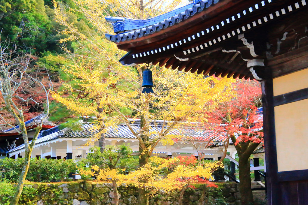 京都「南禅寺」本坊脇の紅葉風景
