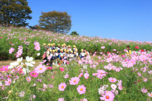 「国営昭和記念公園」コスモスに囲まれて記念撮影