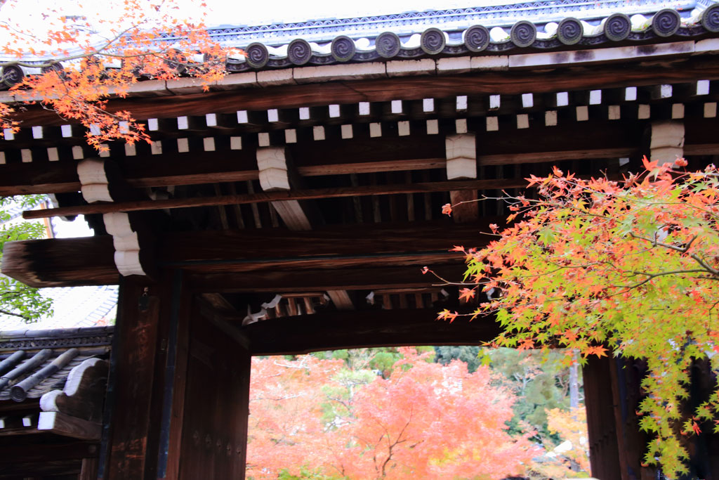 京都「永観堂」紅葉の総門