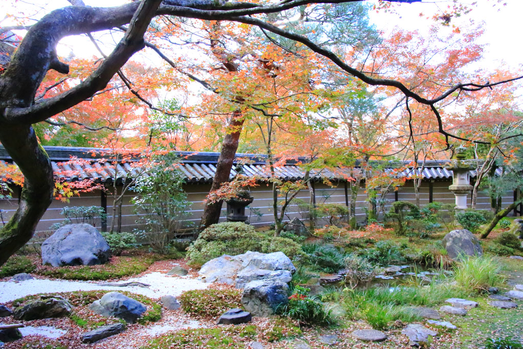 京都「永観堂」庭園の紅葉