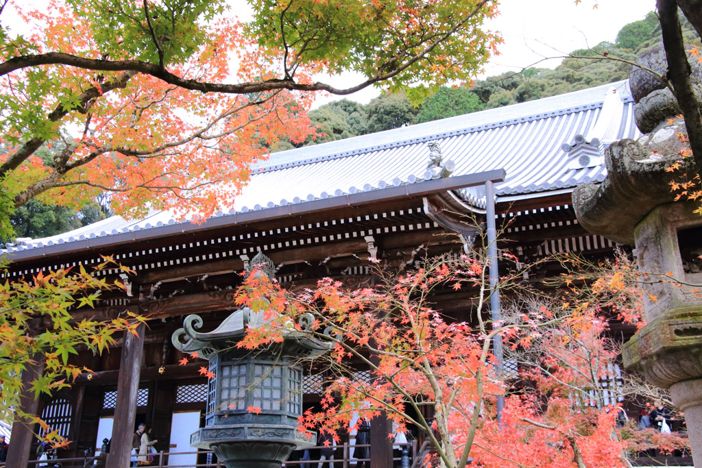 京都「永観堂」阿弥陀堂の紅葉