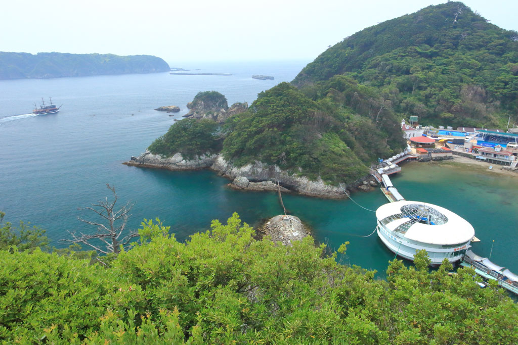 下田市「下田公園」展望台より下田海中水族館を望む