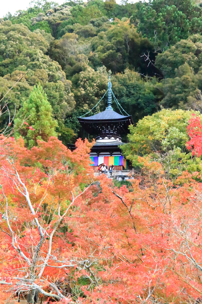 京都「永観堂」紅葉の多宝塔