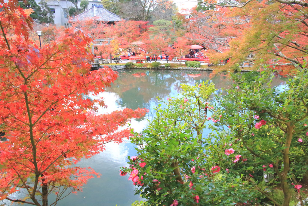 京都「永観堂」放生池と紅葉
