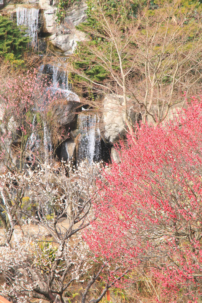 熱海市「熱海梅園」梅見の滝