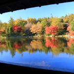 「昭和記念公園の春秋」紅葉風景を切り取る