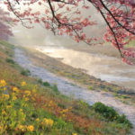 南伊豆町「下賀茂」朝靄の中の河津桜