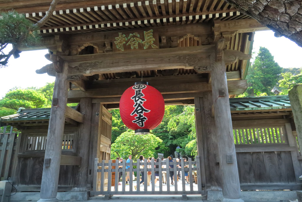 鎌倉「長谷寺 のアジサイ」山門