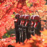四季の風景「神奈川県大山寺」紅葉に染まる石仏