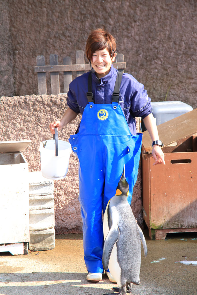 下田市「下田海中水族館」飼育員におねだりのペンギン