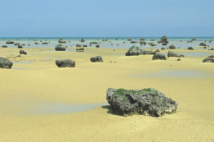 宮古島諸島「佐和田の浜」沖合からの光景