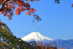 高尾山　山頂からの富士