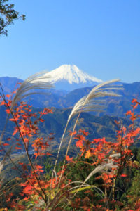 高尾山　山頂からの紅葉と富士