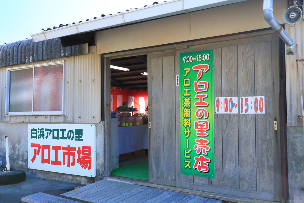 下田市白浜「アロエの里」アロエ市場