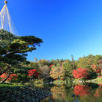 「昭和記念公園の春秋」雪釣りと紅葉風景