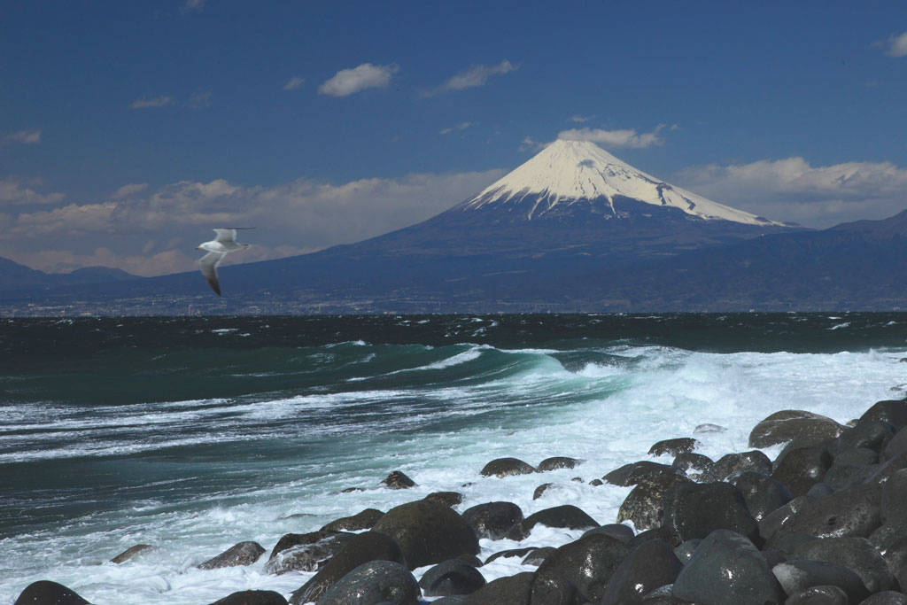 沼津市「戸田港」荒れた駿河湾からの富士山