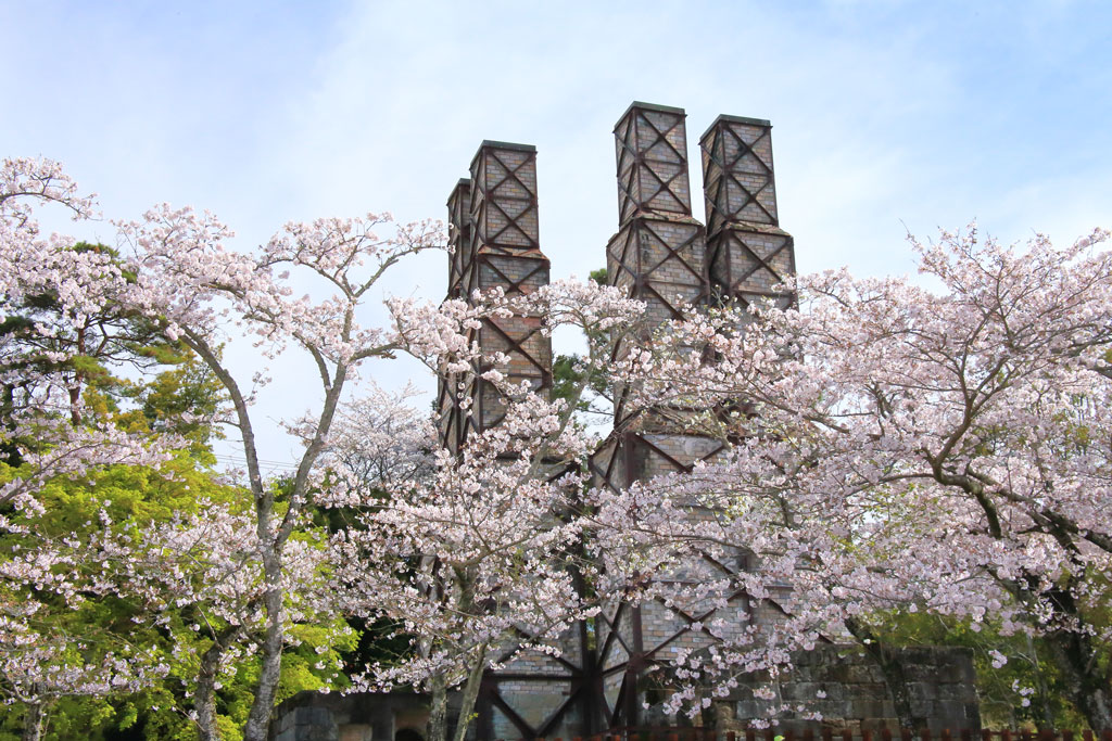 伊豆の国市「韮山反射炉」桜風景の反射炉