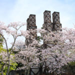 中伊豆「韮山反射炉」桜風景の韮山反射炉