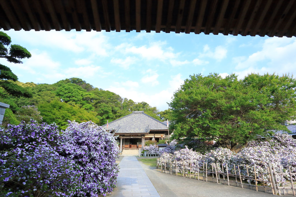 下田市「了仙寺」山門から本堂を望む