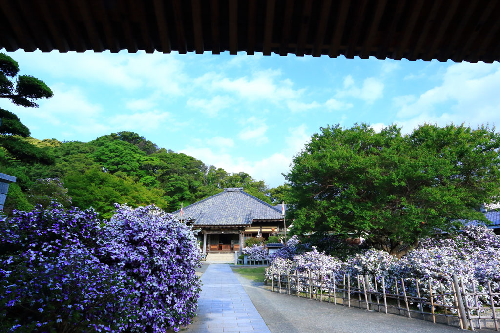 下田市「了仙寺」山門からの了仙寺を望む