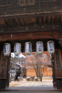 早春の「厳島神社」桜の大願寺