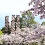中伊豆　桜風景の「韮山反射炉」