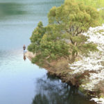 伊東市「松川湖」桜風景の中の釣り人