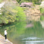 伊東市「松川湖」新緑映える湖畔の風景