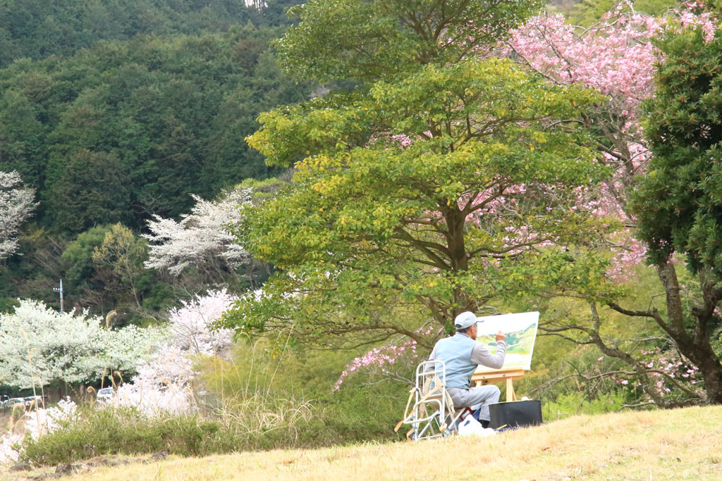 伊東市「松川湖」桜風景をキャンバスに描く