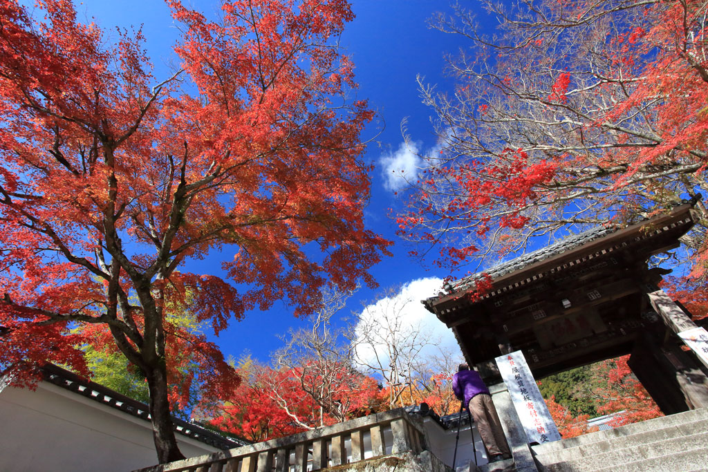 修善寺「修禅寺」山門の紅葉
