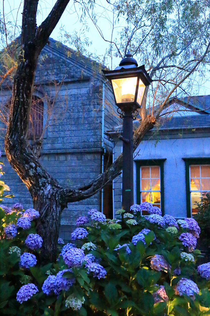 下田市「ペリーロード」夕暮れのペリーロードとアジサイ