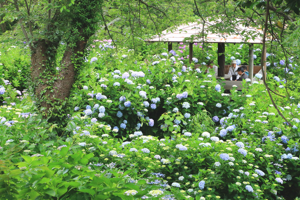 下田市「下田公園」公園内の休息所