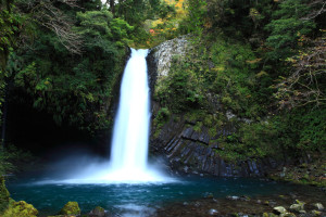 伊豆市「浄蓮の滝」